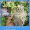 garden fertilizer soil expanded perlite