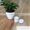 Rishang high quality factory production 50g white and transparent cosmetic cream jar