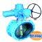 lever operated double flange butterfly valve