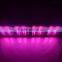 2015 hot promotion 1280W LED Grow Light Full Spectrum For Indoor Veg Flower Plants