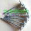 Galvanized Wire Soft
