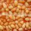 we are supply canned vegetables , Canned broad beans in tomato sauce for sale