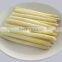 Supply frozen vegetables, IQF Frozen white Asparagus with good quality