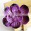 Newest Design Plastic Succulent Plants Mini Artificial Succulent Plant Without Pot