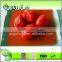 hot sale best quality peeled tomatoes canned