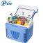 Exquisite Fridge Freezer 10L Mini Car Fridge DC 12V Fridge Freshener Fridge Cooler And Warmer