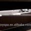 JOYSPA JY8601 Model Balboa System Control Outdoor Hot Tub with Wifi & DVD & TV
