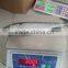 Fresh Frozen WR Spanish Mackerel With Competitive Price