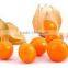 CHINA IQF gooseberry