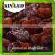 Best Common Cultivation Type Top sale AAA Sultana Raisin price ,Xinjiang