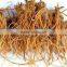 Gentian Root Extract from GMP Manufacturer