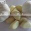 PURE WHITE FRESH GARLIC 6.0CM