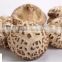 High Quality Flower Shiitake Mushroom, High Quality Shiitake freeze dried shiitake mushroom
