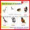 Top selling !incubator peacock egg /egg incubator tray/ industrial hatchrite incubator