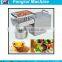 Hand Operated Substantial Mini Oil Press Machine