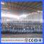 Square Hole Shape and Welded Mesh Type pvc coated Welded Wire Mesh(Guangzhou factory)