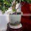 clear corner plastic flower pot