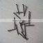 galvanized or polished common iron nails(factory)