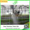 greenhouse mountings film profile