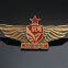 Custom car emblems metal decorative badges