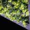 subtropical plant wall factory UV-proof china flor artificial