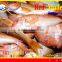 FROZEN W/R RED MULLET
