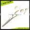 SC154 6 " Different types of hair scissors with save cover