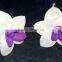 7025-7030 Sola Flower for diffuser