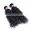 7A 8A 9A 10A Grade Romance Design 100% Unprocessed Virgin Human Hair Wholesale