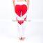 Women Yoga Compression Pants Mesh Leggings Pants Elastic Tights Sexy Yoga for Workout Gym Jogging