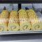 Competitive price Swiss Roll Ultrasonic Cutting Machine Sponge Cake Cutter