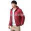 RDS Certified Shiny Light Weight Men's Nylon Goose Duck Down Filled Puffer  Ultralight Jacket with Hood