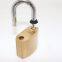 Lianyi factory cheap sale good quality solid brass body anti cut safety 60mm brass padlock with computer key