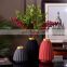 Light and luxurious simple modern matte gray black red frosted ceramic vase