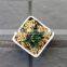 wholesale creative simple square white zakka ceramic succulent plant pot for garden/balcony/desktop