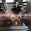 Automatic flute laminating machine/flute laminator
