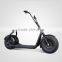 800W Citycoco Balancing Electric Scooter ,2016 fashionable citycoco 2 wheel electric scooter,adult electric motorcycle scooter