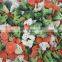 Sinocharm BRC A Approved Frozen Vegetable Frozen Mix Vegetable Carrot Corn Green Peas For Easy Cook