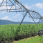 32 Hectares Agricultural Machinery Automatic Center Pivot Irrigation System