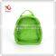Transparent Backpack for kids