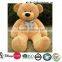 300cm teddy bear plush toy custom plush toy/plush brown bear toy/soft plush brown bear toy