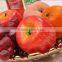 Ceramic round fruit tray fruit dish with hollowed out design
