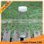 Organic Juice French Square Glass Bottles 500ml