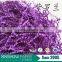 Wholesale tissue shredded paper confetti blaster