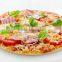 Pizza Oven Baker's magic assitant 1 deck 2 trays Electric Bakery Oven with Ceramic Stone