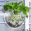 new design fashion round acrylic aquarium