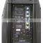 10 inch bluetooth speaker with battery wireless mic and remote for outdoor DP-208