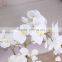factory customized new design artificial plant white butterfly orchid flower with pot