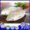 Fresh Fish Frozen Tilapia Gutted and Scaled