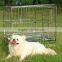 chain link fence dog kennel /dog cage
